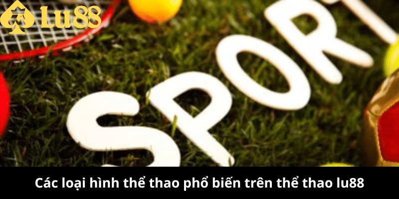 Thể Thao Lu88 - Cá Cược Bóng Đá, Thắng Lớn Mỗi Trận! 2 thể thao lu88