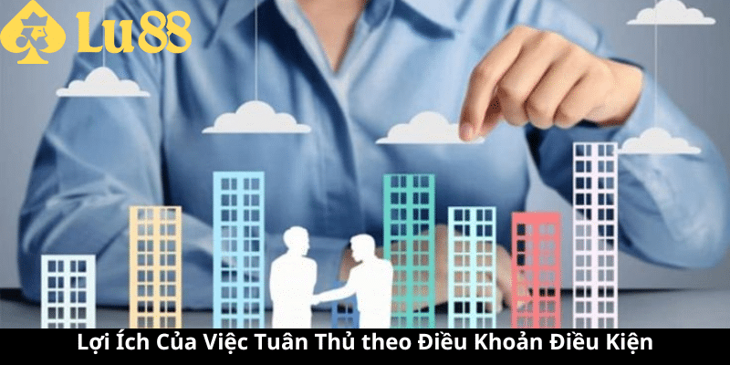 điều khoản điều kiện 