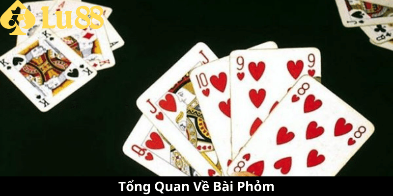 Cách Chơi Bài Phỏm - Hướng Dẫn Chi Tiết Để Trở Thành Cao Thủ 2 cách chơi bài phỏm